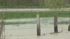 (Steve Burns/WTIU)