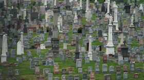 Headstones in Calvary Cemetery in the Borough of Queens in New York (Bryan R. Smith/AFP via Getty Images)