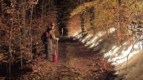 Fire crews worked overnight Monday to limit the wildfire's spread with controlled burns.