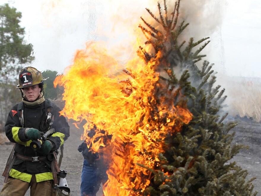 <strong></strong>A fire department cadet monitors a Christmas tree on fire during a holiday safety demonstration on Dec. 9 in Menlo Park, Calif.