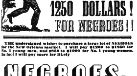 An ad for slaves in Lexington, Ky - 1850
