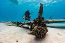 Scientists are still learning about life well below the ocean's surface