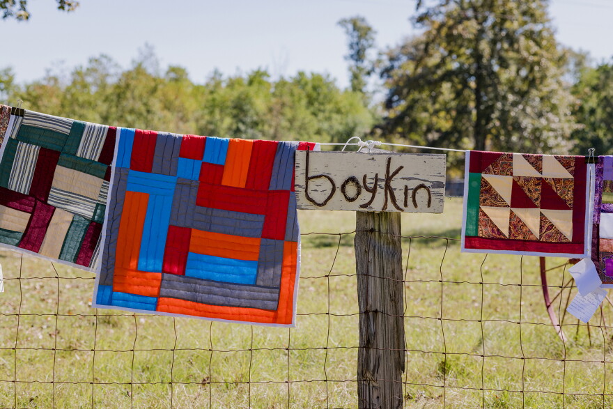 Photos by Stacy K. Allen / Airing of the Quilts 2024