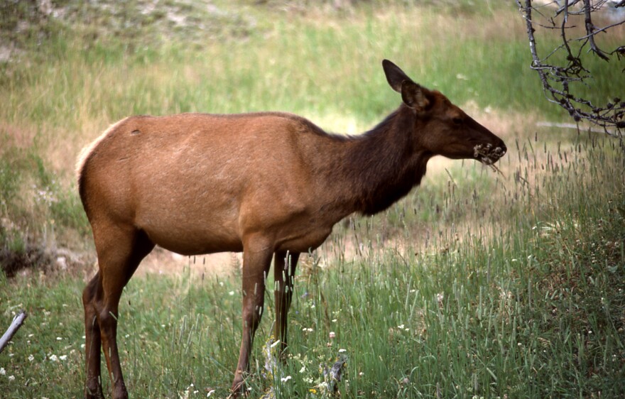 National Park Service