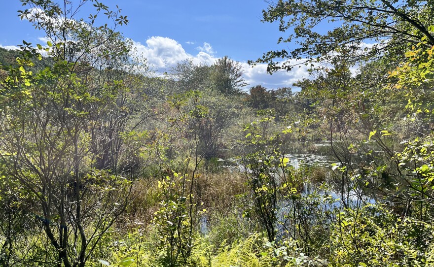 The Conservation Fund recently transferred 436-acres of land in Scranton over to the Pennsylvania Department of Conservation and Natural Resources to be added to the Pinchot State Forest.