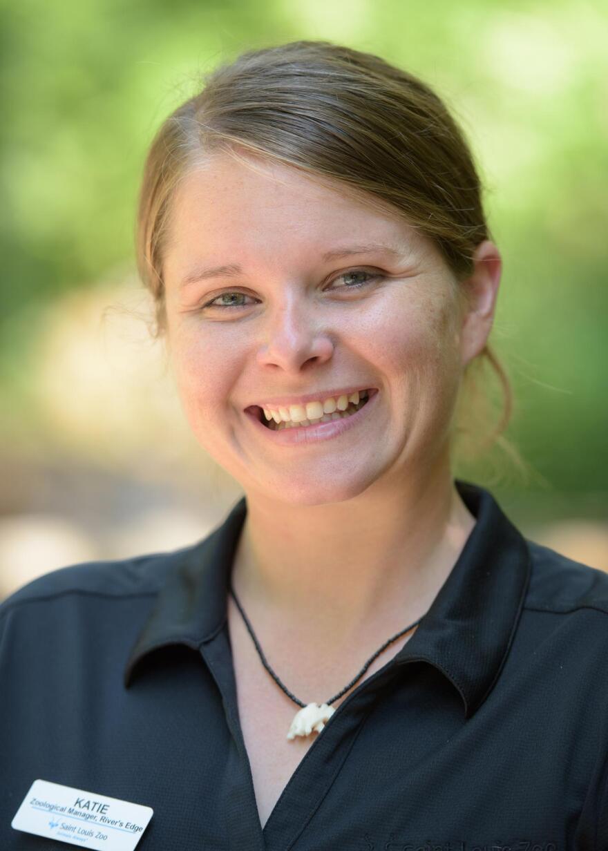 Katie Pilgram-Kloppe is the zoological manager at the St. Louis Zoo's River's Edge.