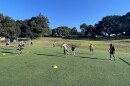A pickup game in San Antonio Park run by Neighborhood Sport Club.
