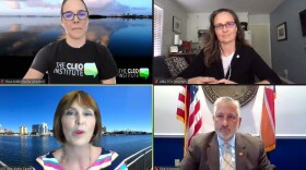  Tampa Congresswoman Kathy Castor, lower right, and St. Petersburg Mayor Rick Kriseman, lower left, spoke during the webinar.