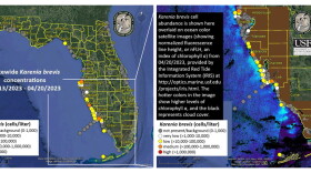 Map of red tide