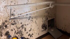 A photograph from an August 2026 Government Accountability Office report shows suspected mold in a barracks closet at Naval Station Norfolk.