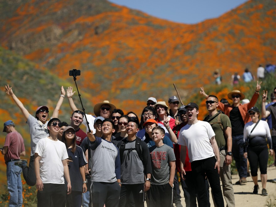 People pose for a picture among wildflowers in bloom Monday in Lake Elsinore, Calif.