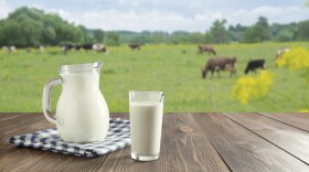 Bottle of milk on a table in front of cows in a pasture.