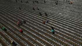 Migrant workers pick strawberries during harvest south of San Francisco, APRIL 4, 2024.