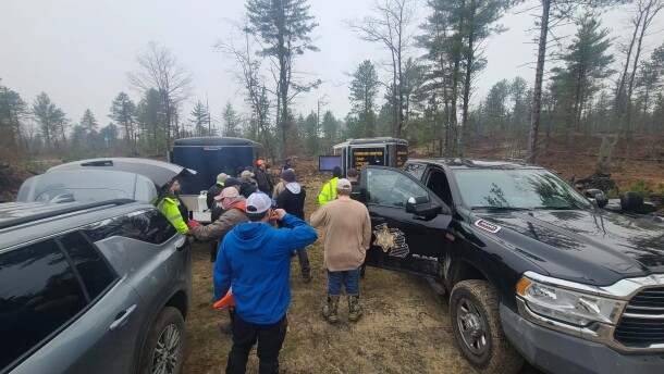 Search party and vehicles
