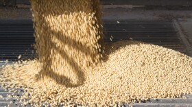 Farmers have produced record or near-record soybean crops in recent years.