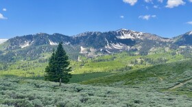 Bonanza Flat