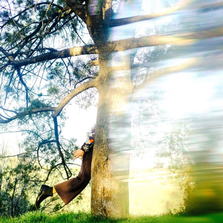 A brightly lit photo with a tree trunk through the middle. On the left of the tree the image is clear with branches and blue sky behind. A leg and a hand of a person can be seen as they walk behind the tree. To the right of the tree the photo is blurry and hazy, where the person seems to be headed.