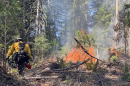 A firefighter monitors slash pile burning on the Willamette National Forest.
