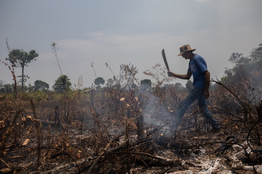 Seventy-year-old farmer Dorival Costa on his land on the BR-319 highway through the Brazilian Amazon on Monday.