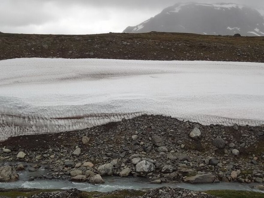 Above the arctic circle on Sweden's Kungsleden trail. July 2012.