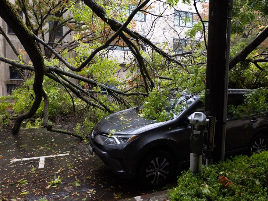 A tree branch blocks 10th Street in Downtown Sacramento during a storm on Sunday Oct. 24, 2021.