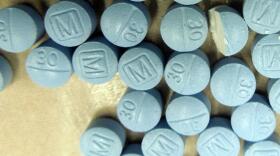 About 20 blue-green pills are sitting on a yellow countertop. Half have the letter M printed on the side while the others have the number 30 above a line that divides the pill in half. Most are grouped to the right side of the picture and one is cut in half, revealing a light yellow inside. 