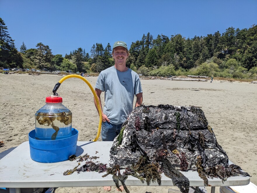 A man stands next to a rock covered in seaweed and a tank with seaweed growing in it.