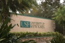 Green letters reading "USF" and "University of South Florida" on a brick wall. Palm trees and vegetation surround the frame.