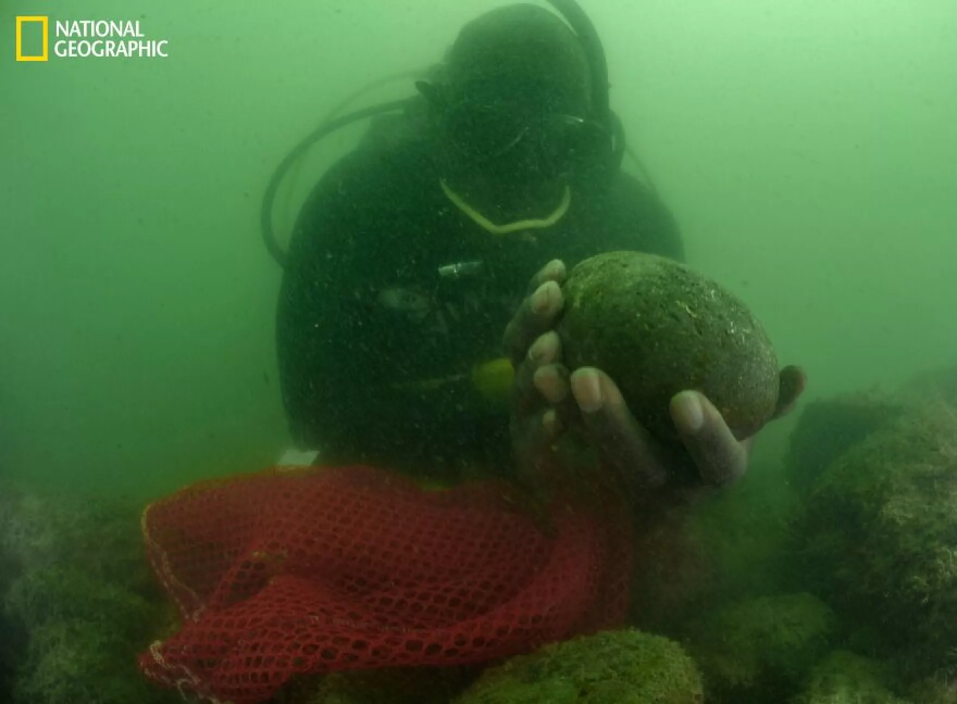Diving with a Purpose