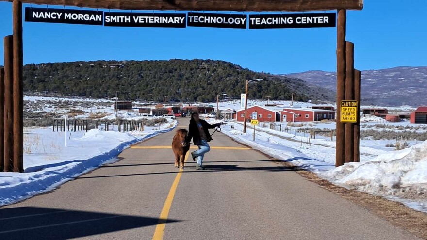 Kimberly Andres-Martinez stands at the entrance of Colorado Mountain College’s veterinary center on Jan. 28, 2025. She works at the center to help pay for school and her family’s expenses.