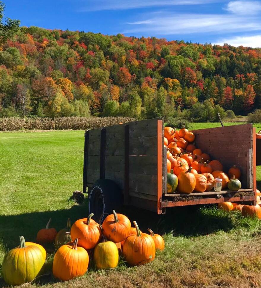 VPR listener John Gilbert shared this picture of fall foliage and an autumn harvest in Warren.