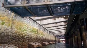 A view of the new seawall being installed on the Seattle waterfront. It's designed to help juvenile salmon.