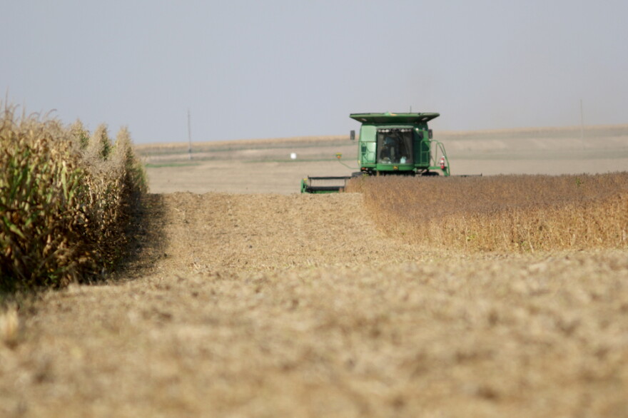 Combine tractor harvests a field. 