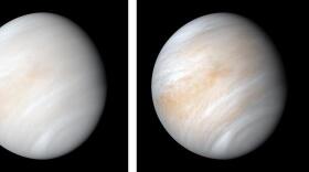 As it sped away from Venus, NASA's Mariner 10 spacecraft captured this seemingly peaceful view of a planet the size of Earth, wrapped in a dense, global cloud layer. But, contrary to its serene appearance, the clouded globe of Venus is a world of intense heat, crushing atmospheric pressure and clouds of corrosive acid. This newly processed image revisits the original data with modern image processing software. A contrast-enhanced version of this view, also provided here, makes features in the planet's thick cloud cover visible in greater detail. The clouds seen here are located about 40 miles (60 kilometers) above the planet's surface, at altitudes where Earth-like atmospheric pressures and temperatures exist. They are comprised of sulfuric acid particles, as opposed to water droplets or ice crystals, as on Earth. These cloud particles are mostly white in appearance; however, patches of red-tinted clouds also can be seen. This is due to the presence of a mysterious material that absorbs light at blue and ultraviolet wavelengths. Many chemicals have been suggested for this mystery component, from sulfur compounds to even biological materials, but a consensus has yet to be reached among researchers. Read the full caption from NASA here.