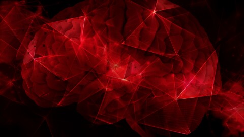 Translucent brain with colorful mapped tumor regions