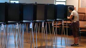 65 percent of Florida voters approved the Voting Restoration Amendment on Nov. 6.