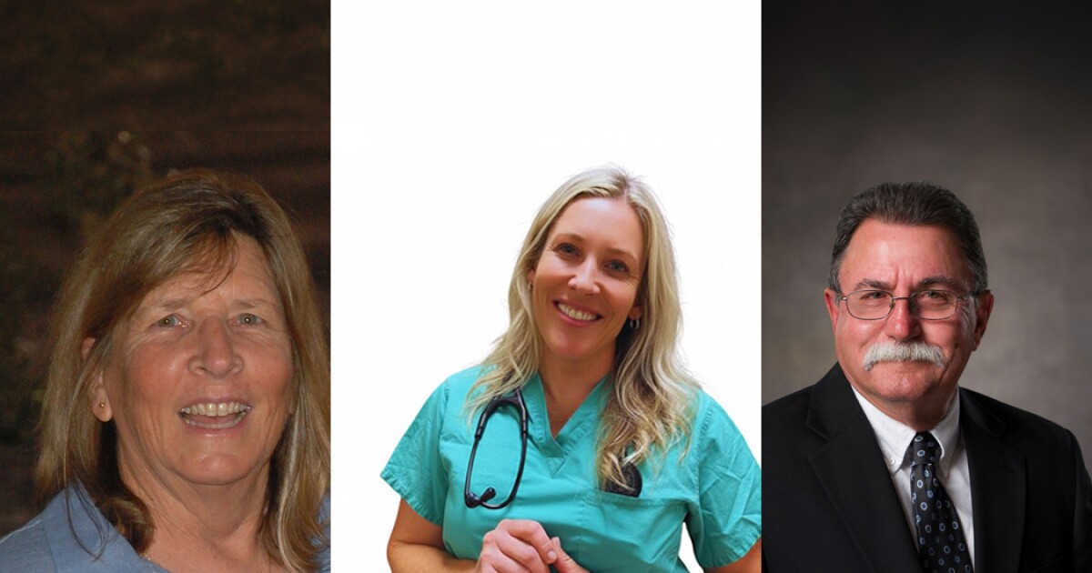 A woman in a brown shirt, a woman in green scrubs and a man in a suit stare forward smiling.