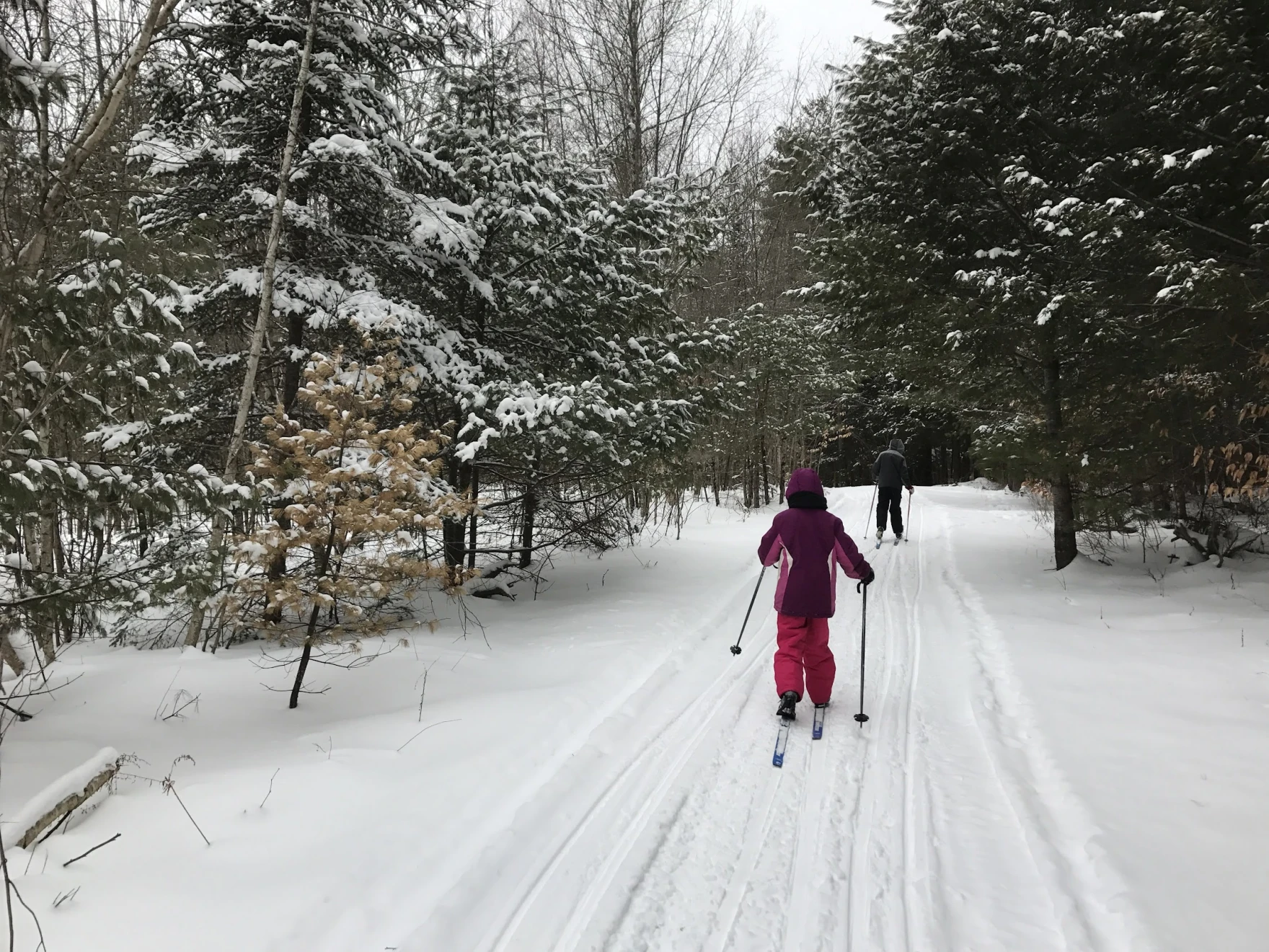 'Farmers' Almanac' predicts 'complicated patterns' for the Northeast this winter