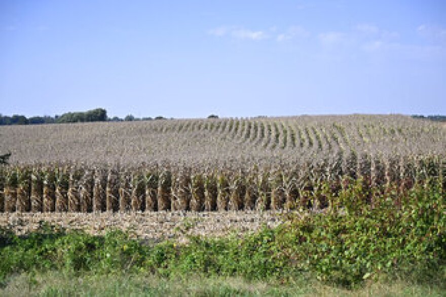 FILE - This Monday, Sept. 27, 2021, photo, shows a 1,551-acre field which will become the site of of a joint venture with Ford Motor Company and SK Innovation to create the $5.8 billion BlueOvalSK Battery Park in Glendale, Ky. Construction is on schedule, with production scheduled to start in 2025 at the two battery manufacturing plants being built in Glendale, the companies said Monday, Dec. 5, 2022. (AP Photo/Timothy D. Easley, File)