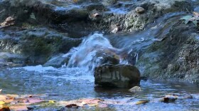 The Indiana Department of Environmental Management is looking to improve the water quality in Jackson Creek in Bloomington, among others.