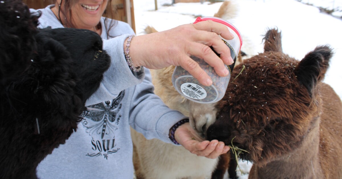 Northern Nevada businesses and organizations find traffic through van and RV travelers