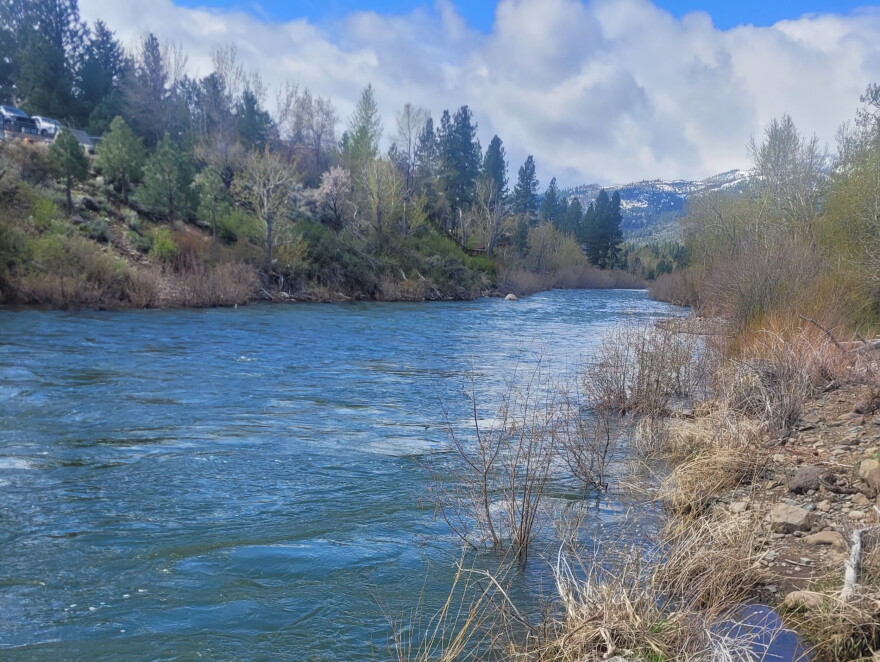 The Truckee River flowing high between tree-lined banks, with snow-covered mountains visible in the distance beneath a partly cloudy sky.