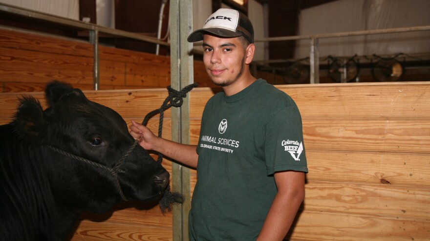 It was the final fair for Antonio Treto Alvarez, 18, who just graduated from high school. He said he'd miss his giant nameless steer, as well as the 4-H program he entered 11 years ago.