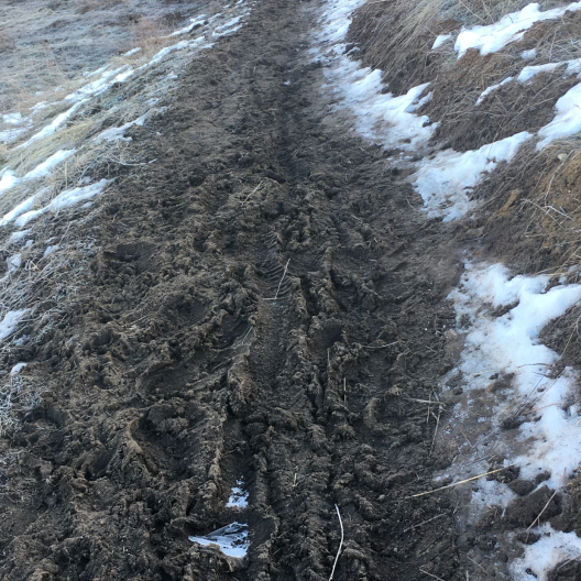 Ridge to Rivers had to close down the Heroes Trail, which starts at the Boise VA, because of the muddy conditions.
