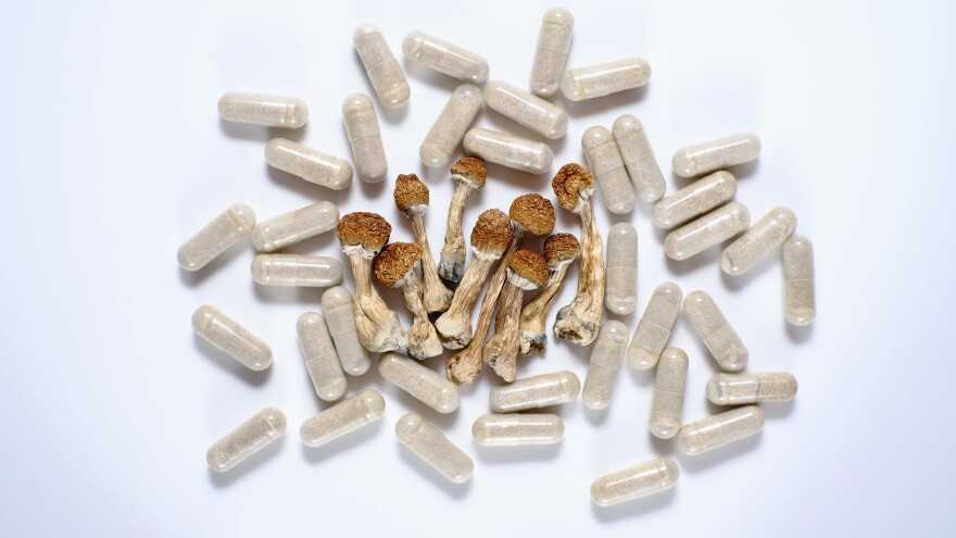 Mushroom Capsules Grandville In MI