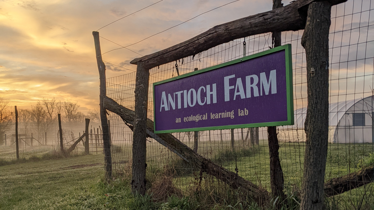 Antioch college to launch permaculture design certificate for home gardeners, farmers - Vimarsana News