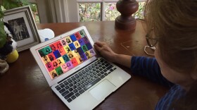 A Columbia art teacher prepares an art history lesson to be taught remotely as part of the online classes being taught by schools and colleges throughout South Carolina.