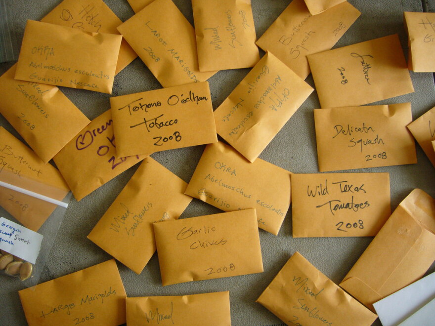 What seeds are you going to plant this year?