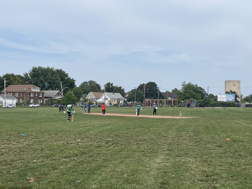 The cricket pitch at Dewey Park