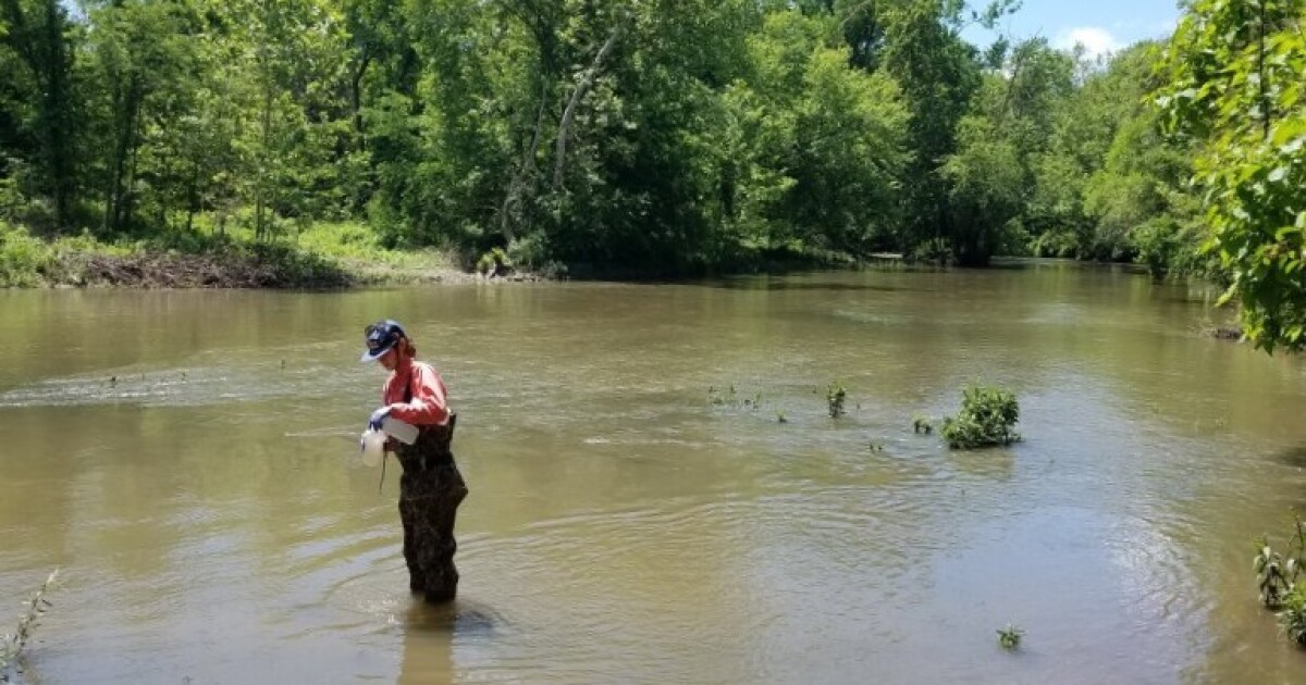 This conservation practice boosts wildlife species on farmland, new research finds